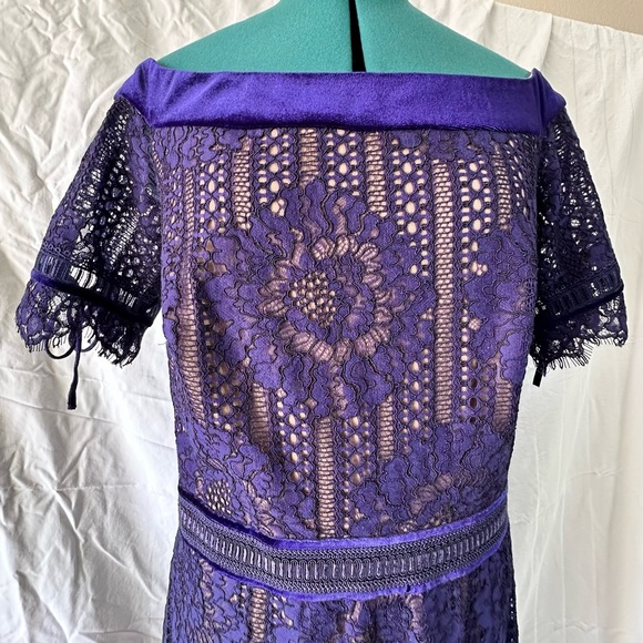 Tadashi Shoji Blue Illusion ROSINA GOWN Dress Size 14. NEW PICTURES! - Picture 4 of 16